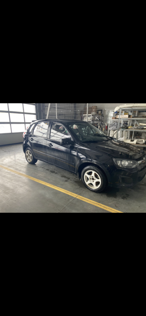 Калина ралли кросс