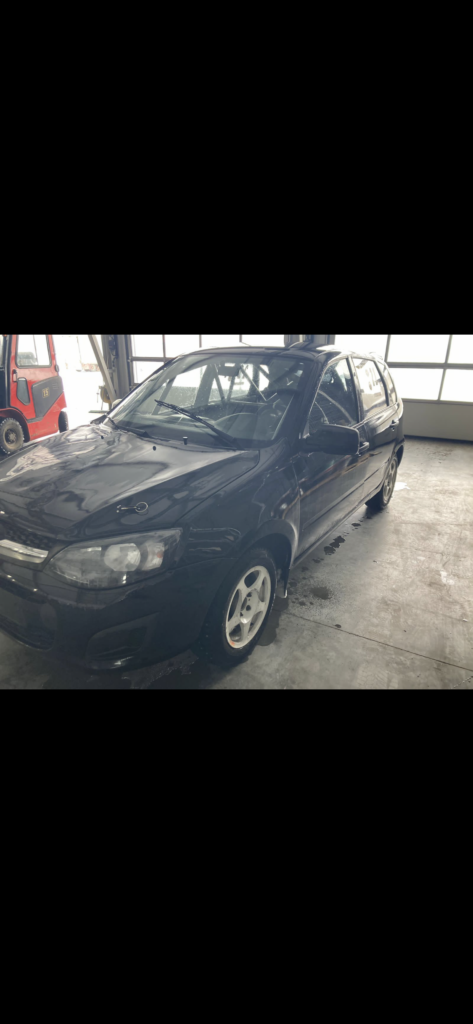 Калина ралли кросс